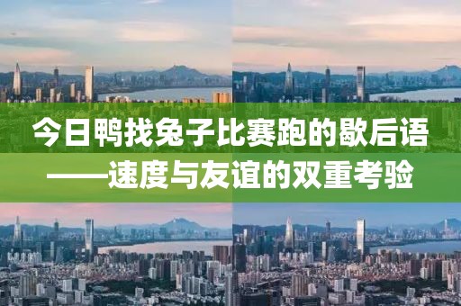 今日鴨找兔子比賽跑的歇后語(yǔ)——速度與友誼的雙重考驗(yàn)