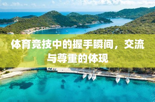 體育競技中的握手瞬間，交流與尊重的體現(xiàn)