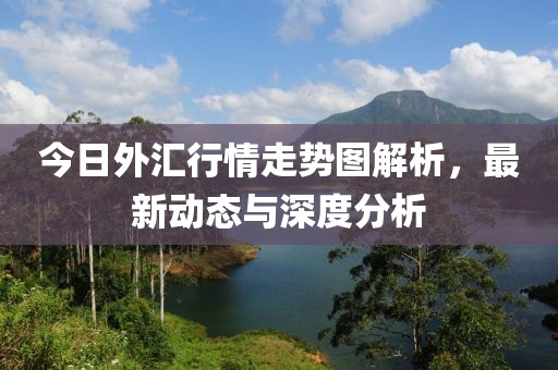 今日外匯行情走勢(shì)圖解析，最新動(dòng)態(tài)與深度分析