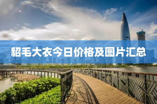 貂毛大衣今日價(jià)格及圖片匯總