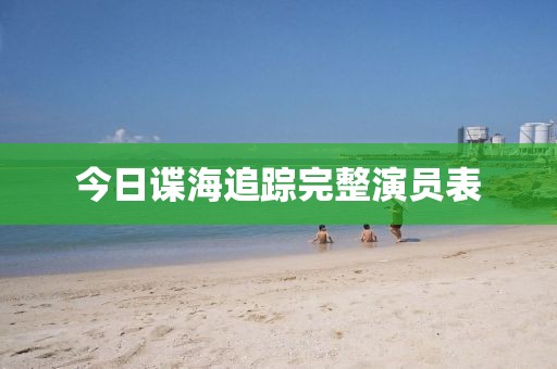 今日諜海追蹤完整演員表