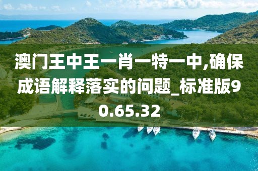 澳門(mén)王中王一肖一特一中,確保成語(yǔ)解釋落實(shí)的問(wèn)題_標(biāo)準(zhǔn)版90.65.32