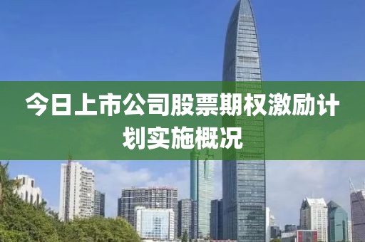 今日上市公司股票期權(quán)激勵(lì)計(jì)劃實(shí)施概況
