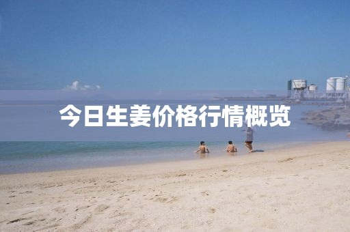 今日生姜價(jià)格行情概覽