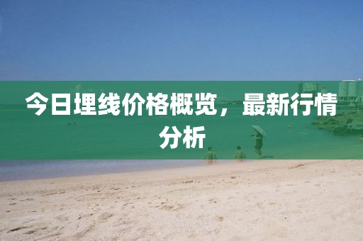 今日埋線價格概覽，最新行情分析