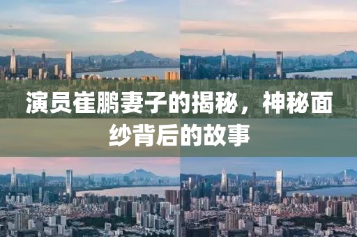 演員崔鵬妻子的揭秘，神秘面紗背后的故事