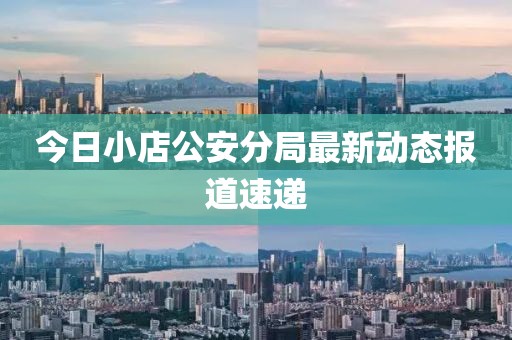 今日小店公安分局最新動態(tài)報(bào)道速遞