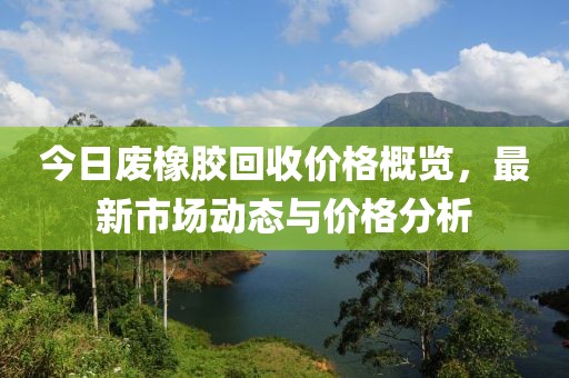 今日廢橡膠回收價格概覽，最新市場動態(tài)與價格分析