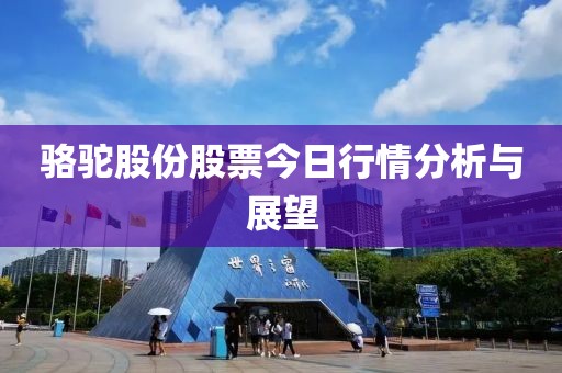 駱駝股份股票今日行情分析與展望