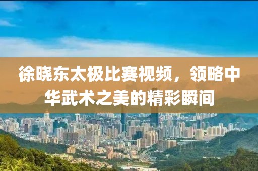 徐曉東太極比賽視頻，領(lǐng)略中華武術(shù)之美的精彩瞬間