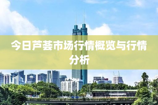 今日蘆薈市場行情概覽與行情分析