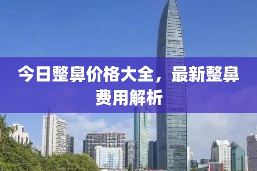 今日整鼻價格大全，最新整鼻費用解析