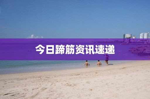今日蹄筋資訊速遞