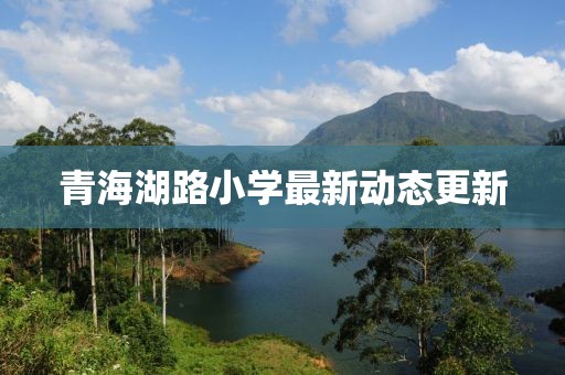 青海湖路小學(xué)最新動(dòng)態(tài)更新