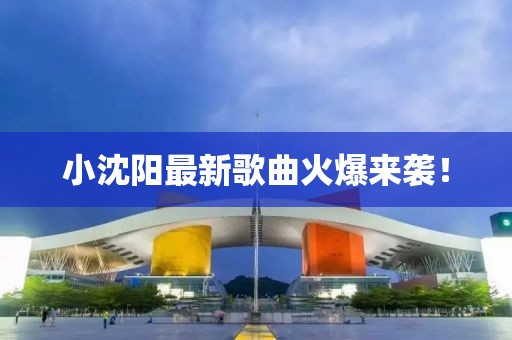 小沈陽最新歌曲火爆來襲！