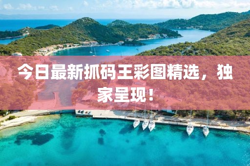 今日最新抓碼王彩圖精選，獨家呈現(xiàn)！