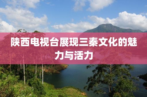 陜西電視臺展現(xiàn)三秦文化的魅力與活力