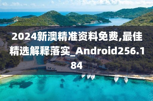 2024新澳精準(zhǔn)資料免費(fèi),最佳精選解釋落實(shí)_Android256.184