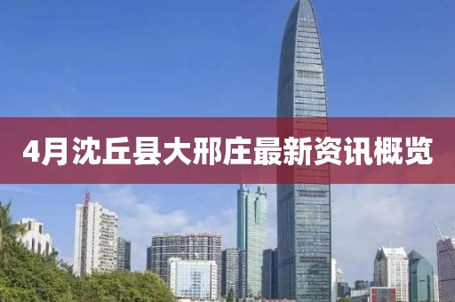 4月沈丘縣大邢莊最新資訊概覽