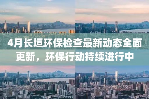 暴走的兔子 第2頁