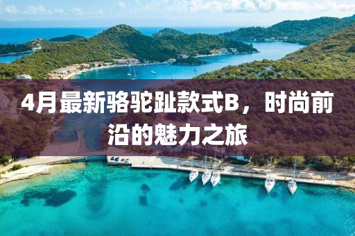 4月最新駱駝趾款式B，時尚前沿的魅力之旅