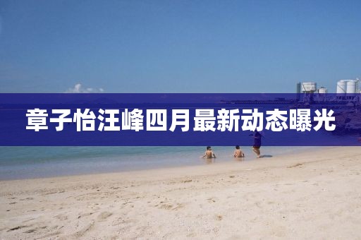 章子怡汪峰四月最新動(dòng)態(tài)曝光