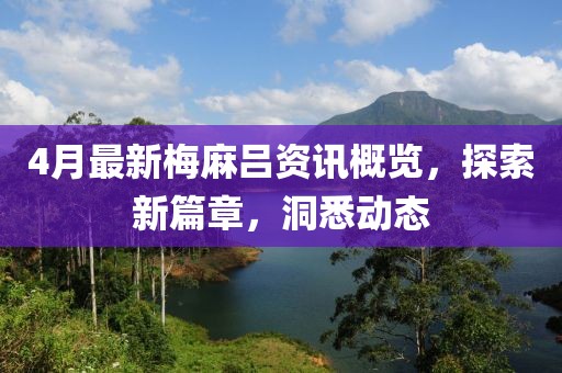 4月最新梅麻呂資訊概覽，探索新篇章，洞悉動(dòng)態(tài)
