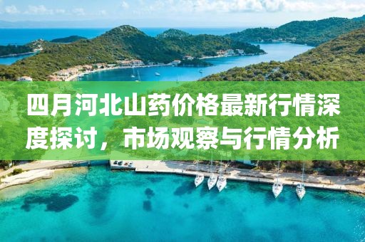 四月河北山藥價格最新行情深度探討，市場觀察與行情分析