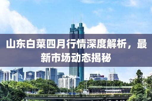 山東白菜四月行情深度解析，最新市場動態(tài)揭秘