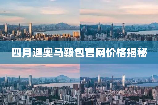 四月迪奧馬鞍包官網(wǎng)價(jià)格揭秘