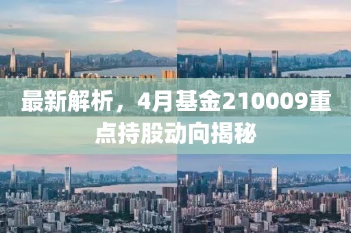 最新解析，4月基金210009重點(diǎn)持股動(dòng)向揭秘