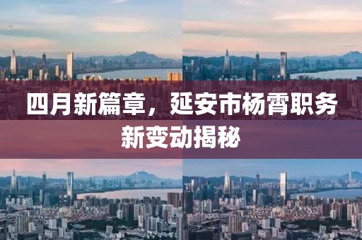 四月新篇章，延安市楊霄職務(wù)新變動揭秘