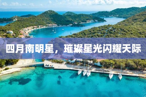 四月南明星，璀璨星光閃耀天際