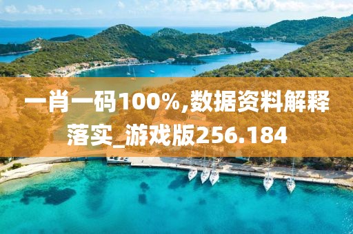 一肖一碼100%,數(shù)據(jù)資料解釋落實(shí)_游戲版256.184