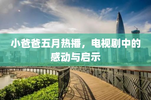 小爸爸五月熱播，電視劇中的感動(dòng)與啟示