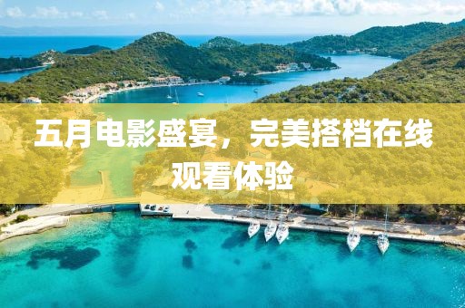五月電影盛宴，完美搭檔在線觀看體驗