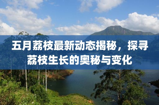 五月荔枝最新動態(tài)揭秘，探尋荔枝生長的奧秘與變化