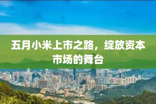 五月小米上市之路，綻放資本市場的舞臺