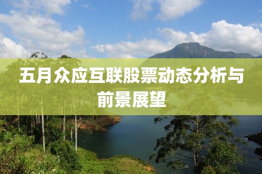 五月眾應(yīng)互聯(lián)股票動態(tài)分析與前景展望