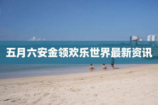 五月六安金領(lǐng)歡樂世界最新資訊