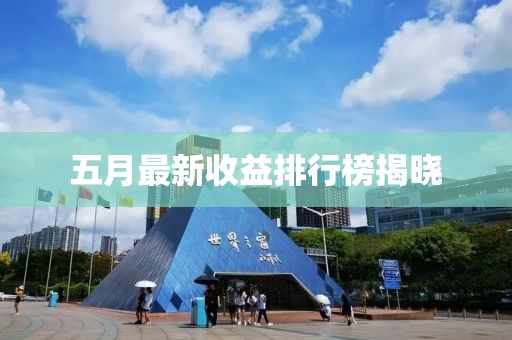 五月最新收益排行榜揭曉