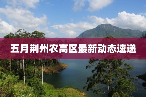 五月荊州農(nóng)高區(qū)最新動態(tài)速遞