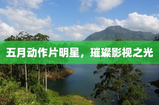 五月動(dòng)作片明星，璀璨影視之光