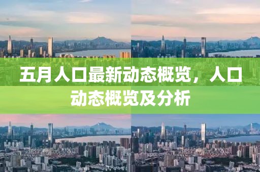 五月人口最新動態(tài)概覽，人口動態(tài)概覽及分析