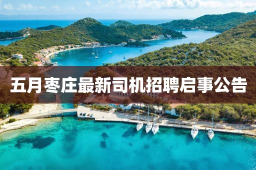五月棗莊最新司機(jī)招聘啟事公告
