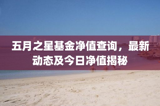 五月之星基金凈值查詢，最新動(dòng)態(tài)及今日凈值揭秘