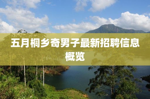 五月桐鄉(xiāng)奇男子最新招聘信息概覽