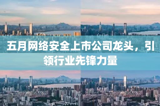 五月網(wǎng)絡(luò)安全上市公司龍頭，引領(lǐng)行業(yè)先鋒力量