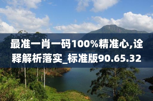 最準一肖一碼100%精準心,詮釋解析落實_標準版90.65.32