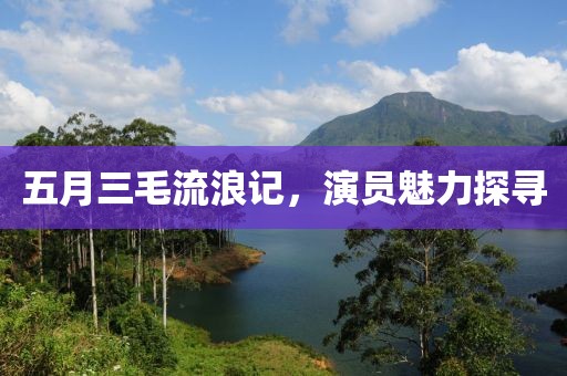 五月三毛流浪記，演員魅力探尋